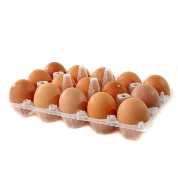 Fresh White Brown Table Eggs /Fresh Chicken Table Eggs & Fertilized Hatch
