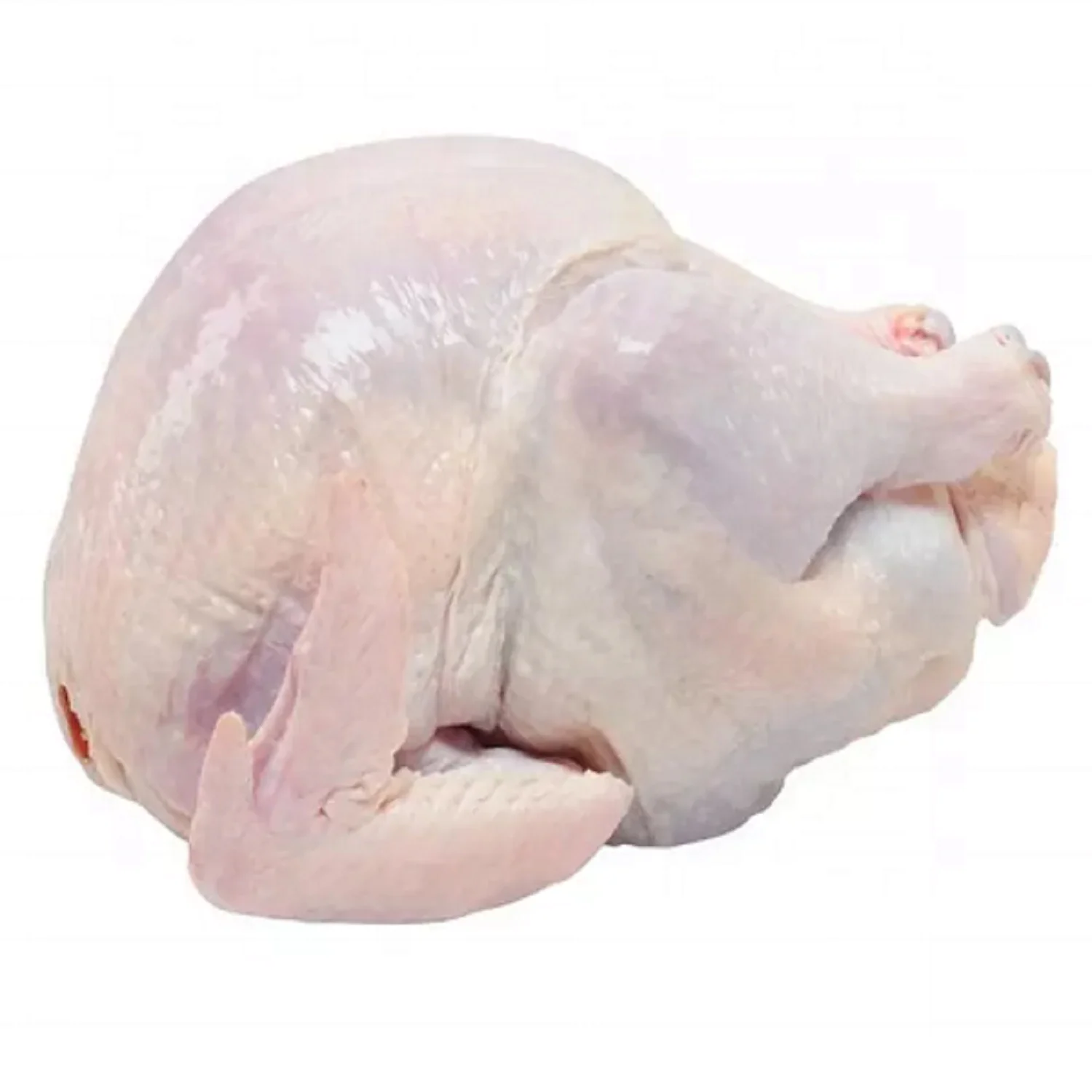 Quality Wholesale Brazilian Halal Frozen Whole Chicken