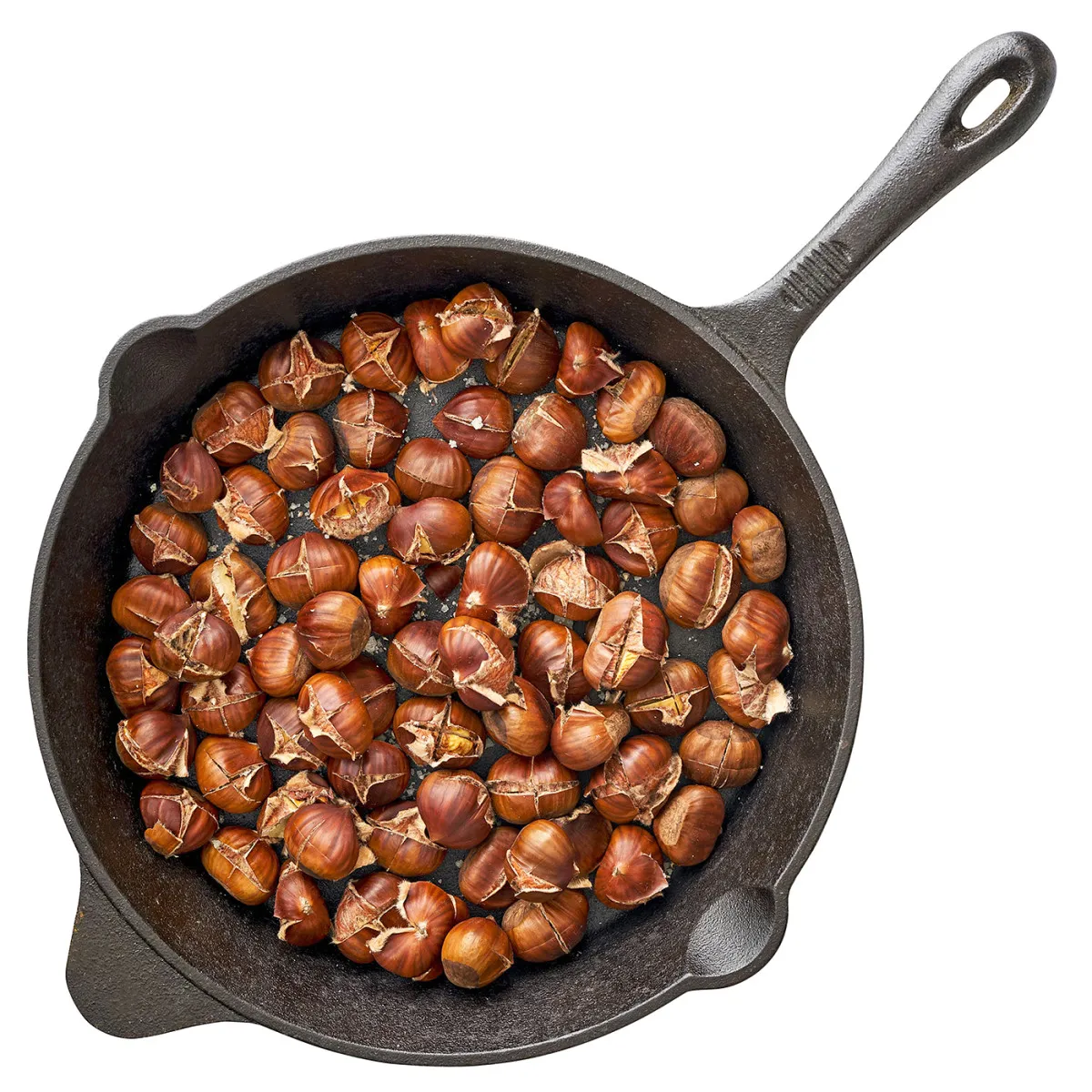 New harvest crop Fresh Chestnut in Shell best price
