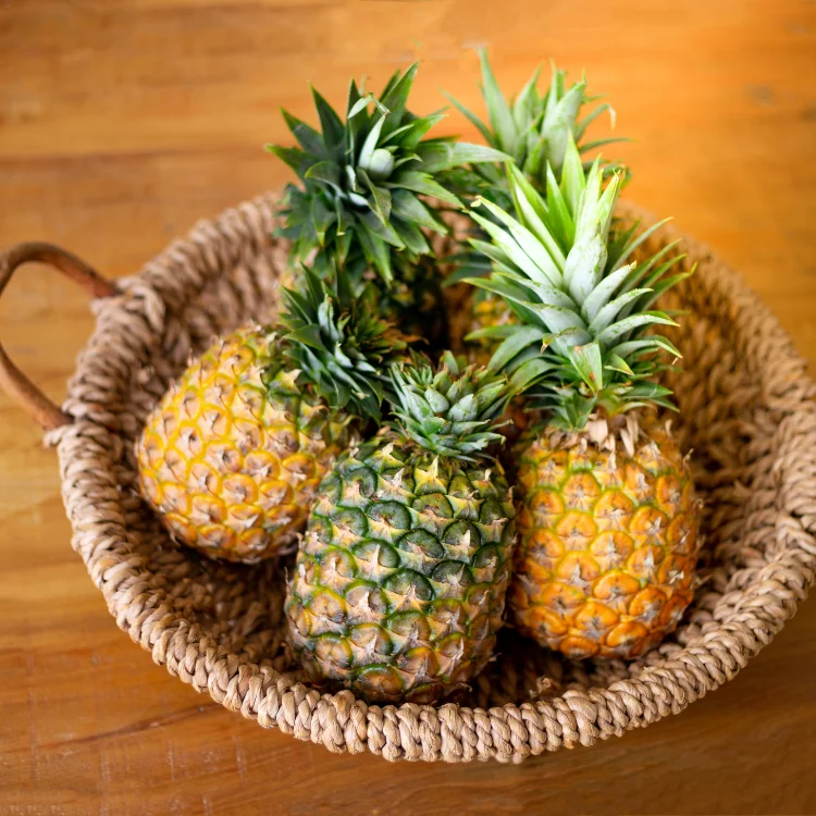 Cheapest Vietnamese pineapple, best quality;