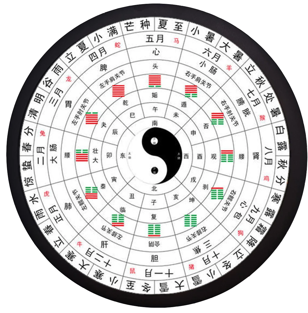 Circular Round Display 23.6 inch IPS Round LCD Screen Robot Eyes Smart Watch 2.1 inch TFT Screen Panel