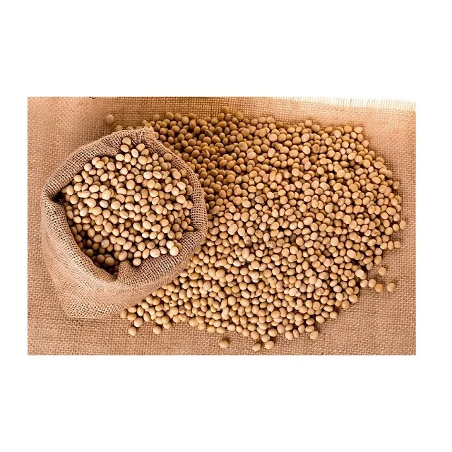 Wholesale organic soyabeans/ soya beans / soybeans available directly from Usa
