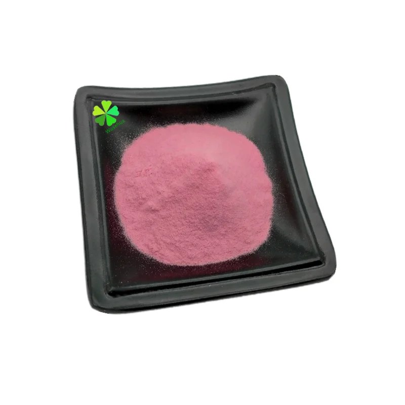 Best Selling Thai Mango High Quality Premium Mahachanok Mango from Thailand 100% Natural Sweet Mahachanok Thai Mango OEM Private