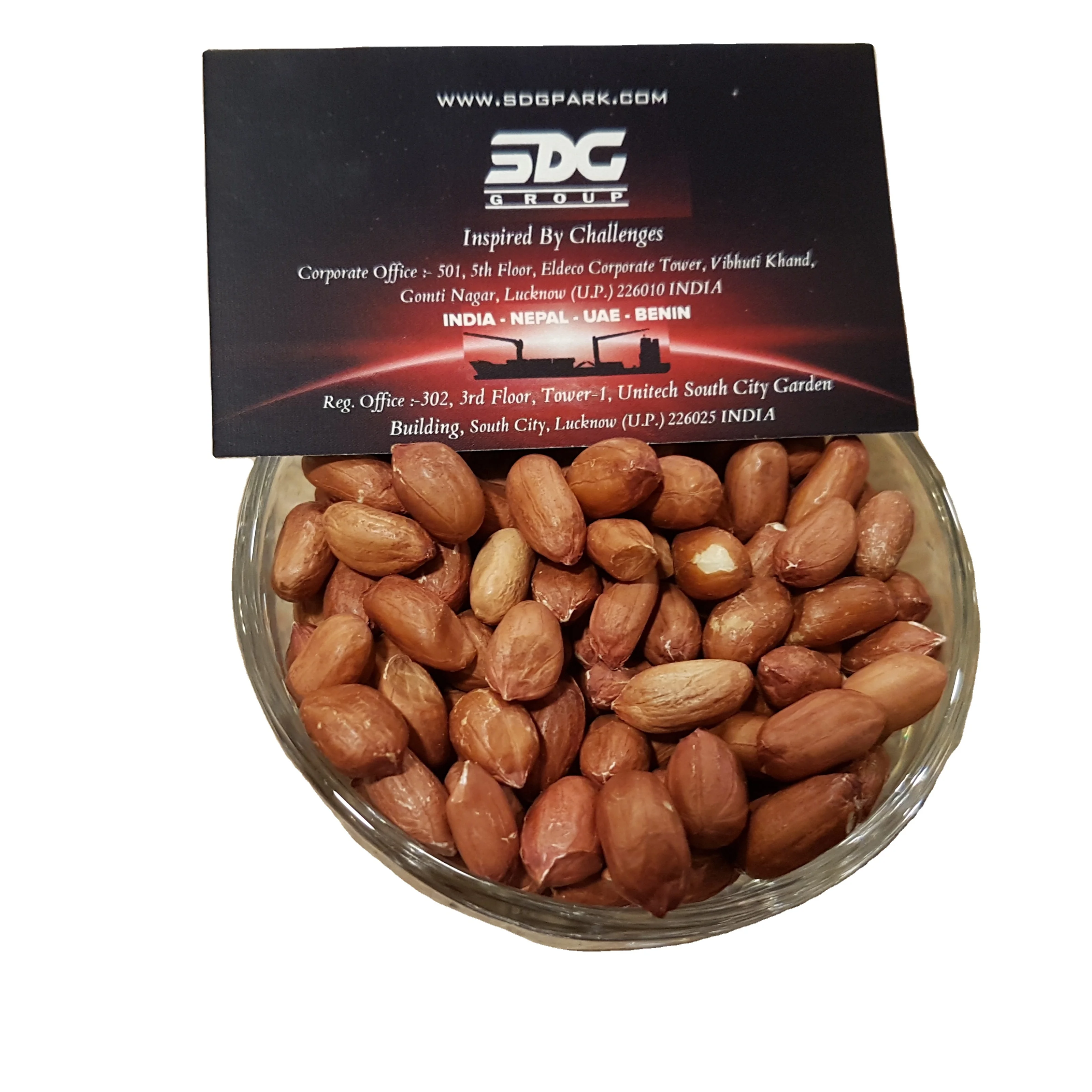 Bold Peanuts High Oil Content High Grade Groundnut Peanut supplier from India