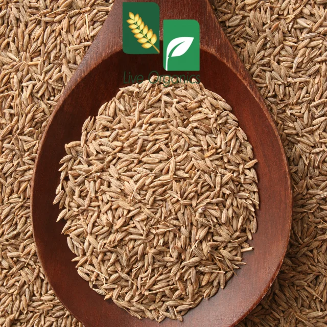 Cumin Seeds - Natural & Organic  Cumin Seeds Grown in India - Ethically Sourced - Non-GMO