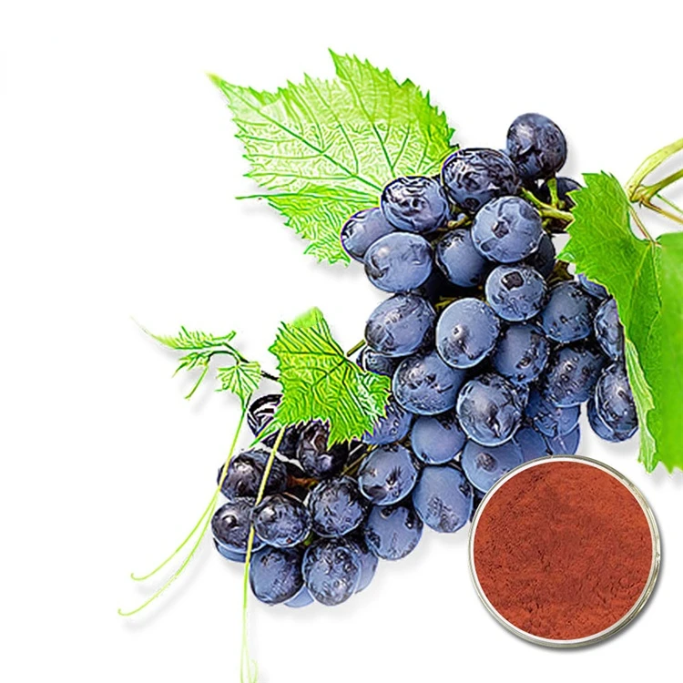 Best price with high quality 100% pure and natural proanthocyanidin( OPC ) grape Seed Extract
