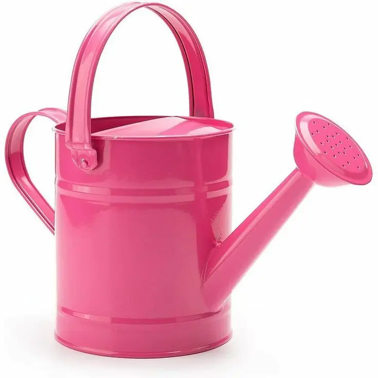 Stylish Metal Watering can for home garden Rose Gold color modern design Flower Water  metal watering can Garden Supplies
