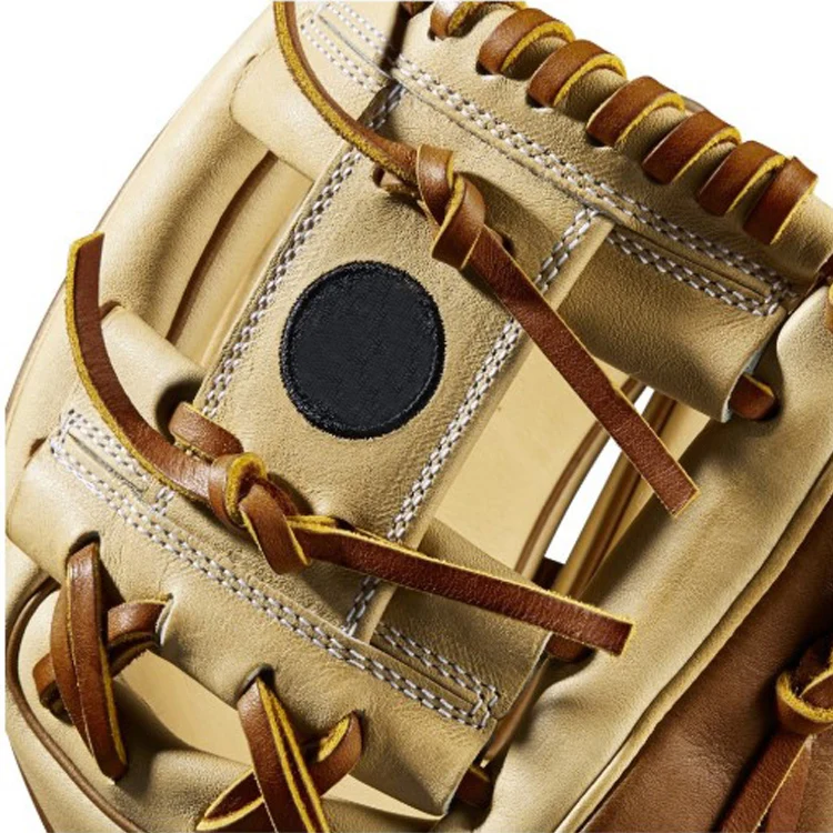 A2000 Professional Baseball Gloves and Baseball Glove Stand