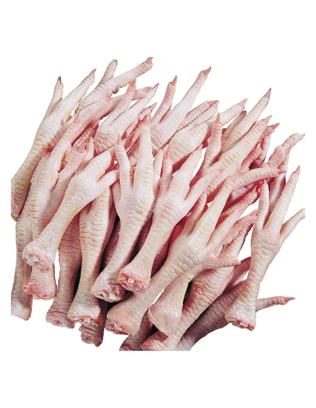 Europe Grade Brazil frozen chicken feet USA frozen chicken feet suppliers buy frozen chicken feet