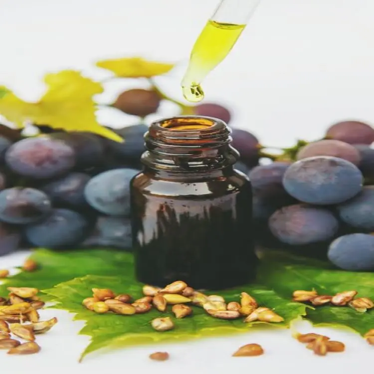 Best Wholesaler Grape Seed Oil 100% Pure Aromatherapy Top Manufacture Lowest Price Premium Quality Global Exporter Bulk Supplier