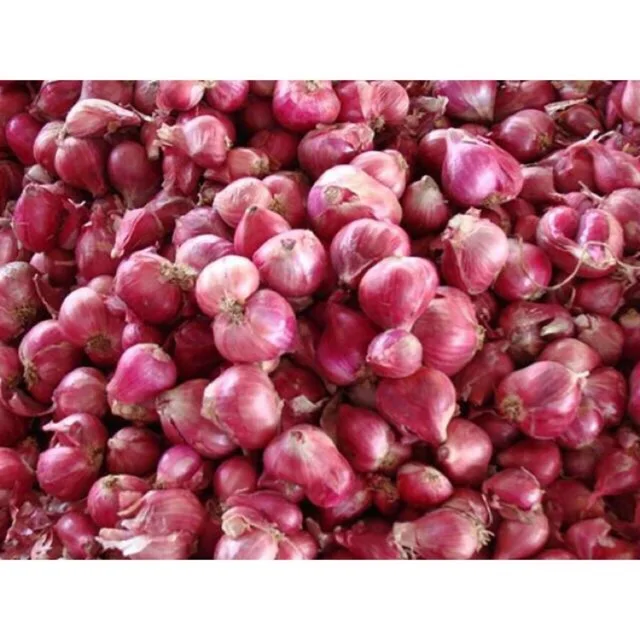 red onion for sale / premium quality red onion wholesale/low price onion