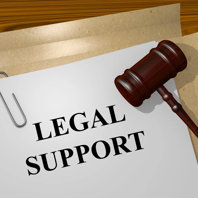 High Quality Traditional Lawyer for legal support international law services