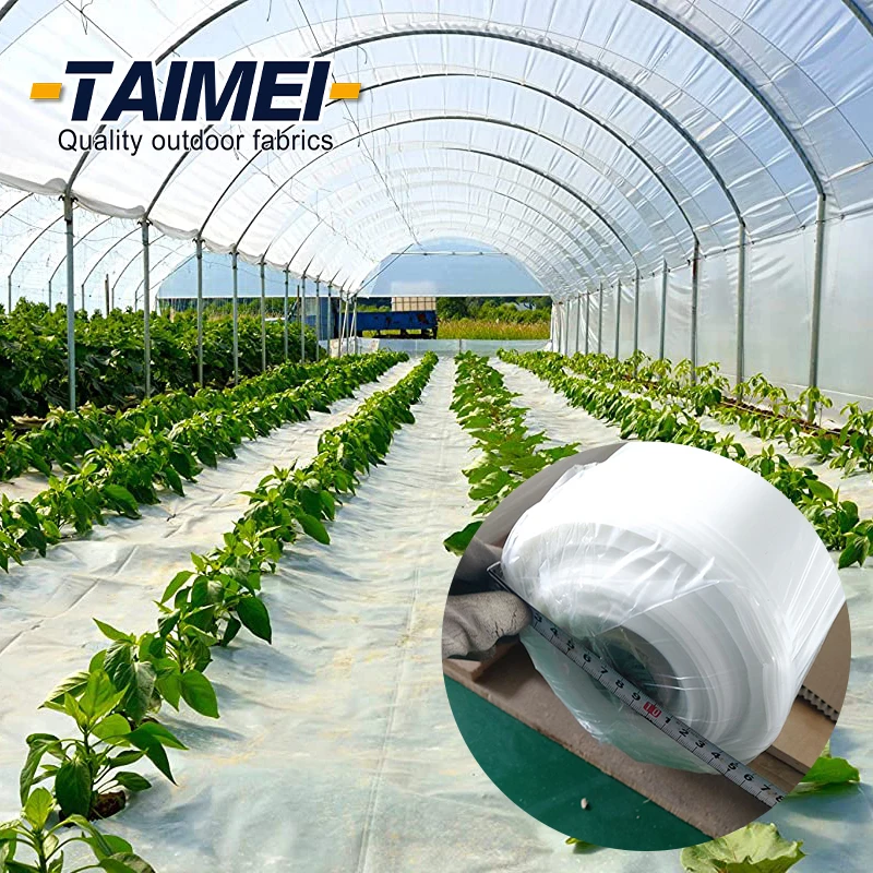 Plastic Film Greenhouse UV Film Plastic Film Agricultural Greenhouse Film for Vegetables/Flowers/Garden