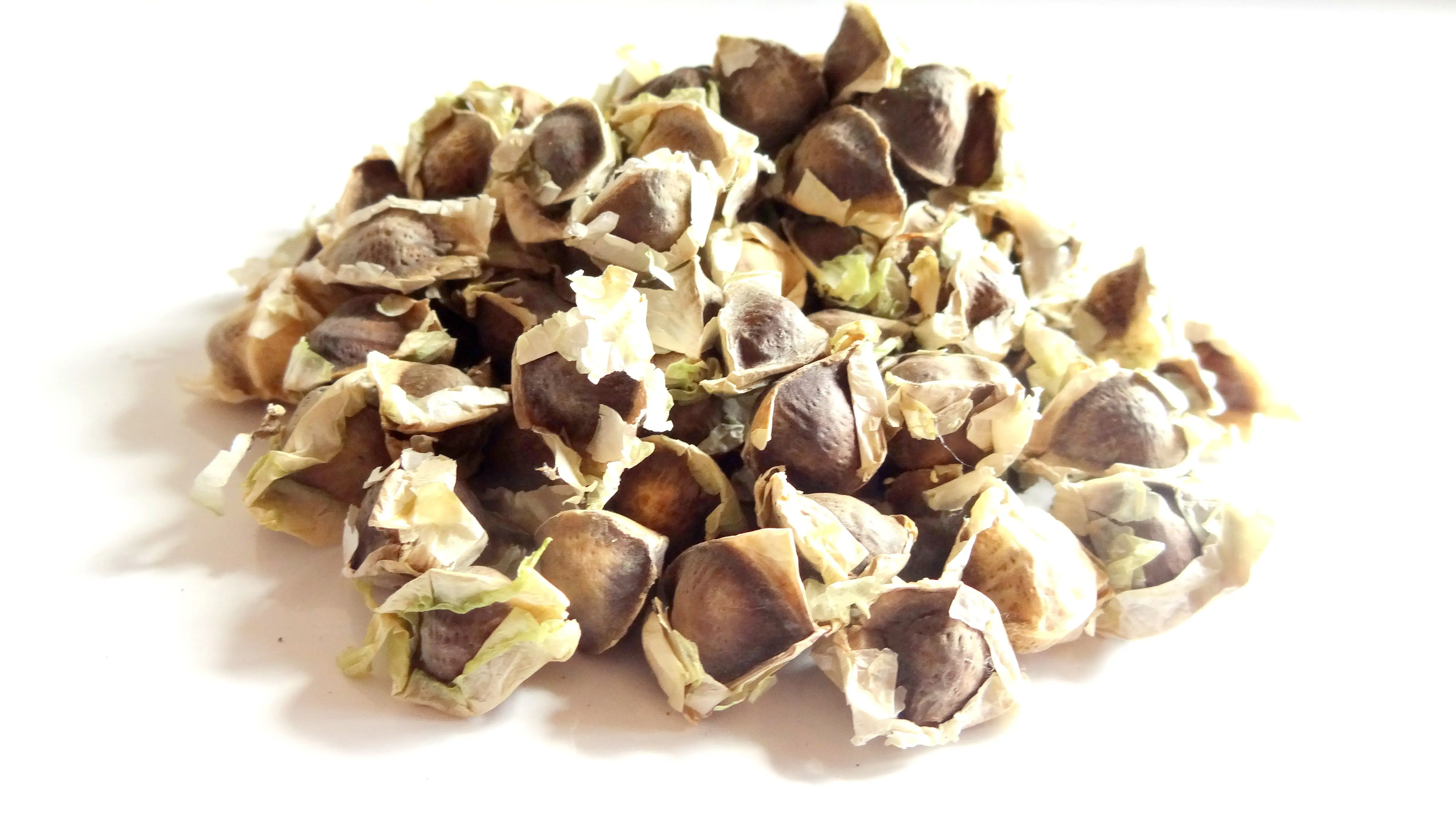 HIGH QUALITY MORINGA SEEDS