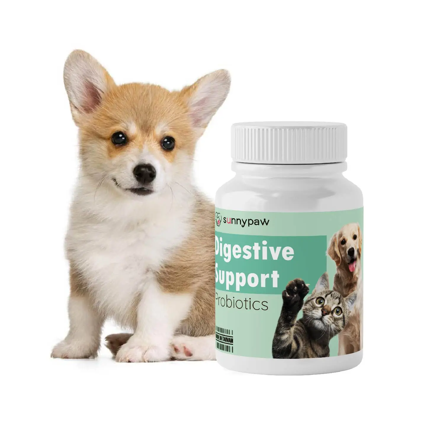 High Grade New Arrival Factory Price Good Quality Cat Dog Probiotics