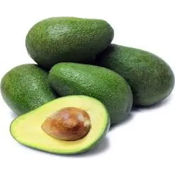 Peruvian Tropical Hass Avocado Fresh Fruit of Peru Style Origin Common Cultivation Model Variety Product from Fresh Avocados
