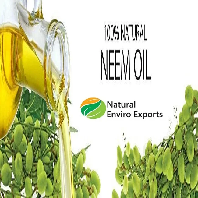 Organic Neem Seed Oil Extracted by Cold Press Method used for Agricultural and Health Care Purposes; Neem Seed Oil at Low Cost