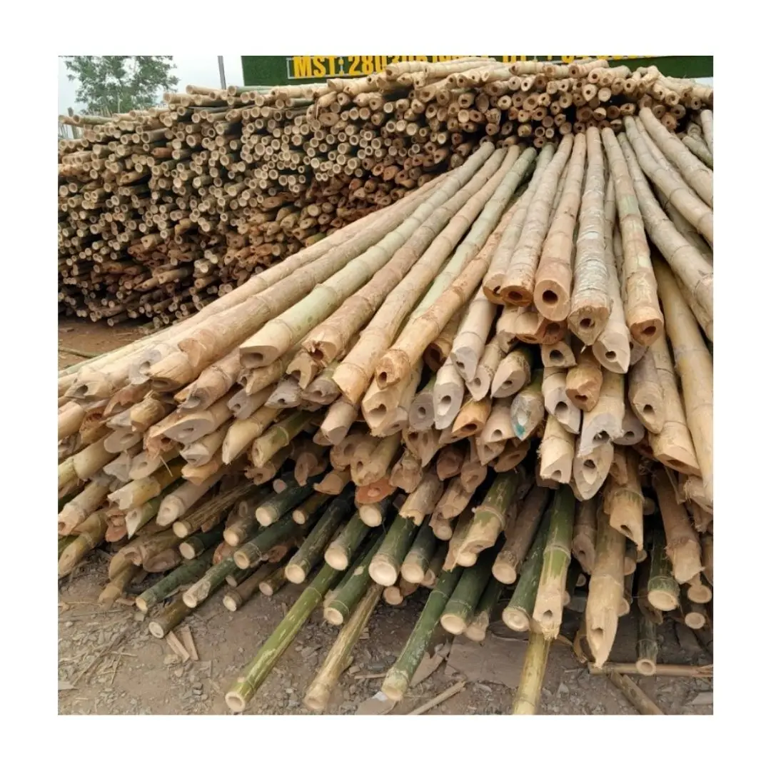 NATURAL RAW DRIED BAMBOO POLE CANE BAMBOO POLE SUPPORTING PLANT HIGH QUALITY BEST SELLING BAMBOO POLE RAW STRAIGHT MATERIAL