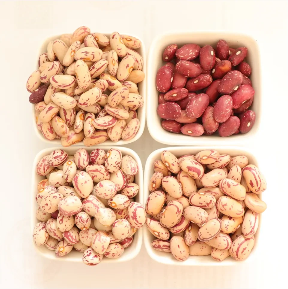 Cranberry Beans Light Speckled Kidney Beans