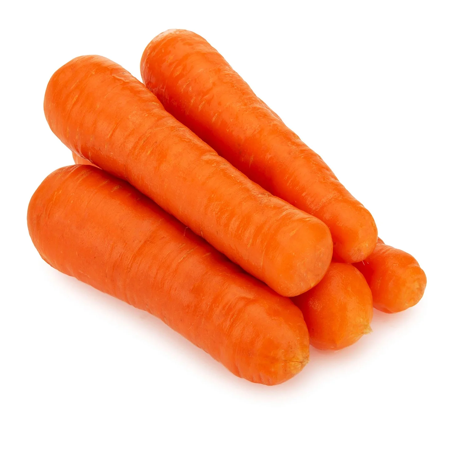 Best All Time Suppliers of Mature Fresh Carrots