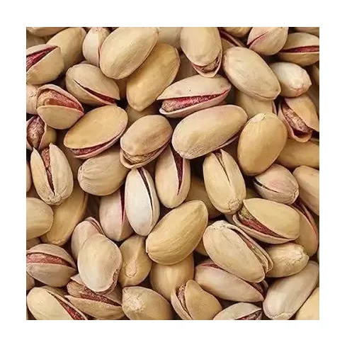 Worldwide Export 100% Organic Pistachio Pistachio Nuts