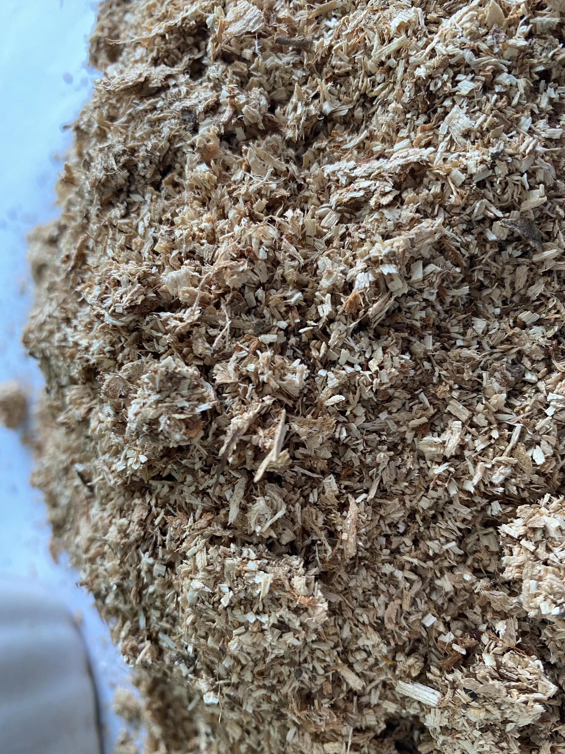 Cheap Wood Sawdust - Wood chips & Wood Shaving for Horses