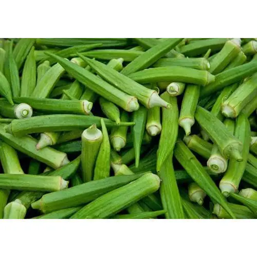 Высшее качество Лучшая цена свежий Okra Дамский органический