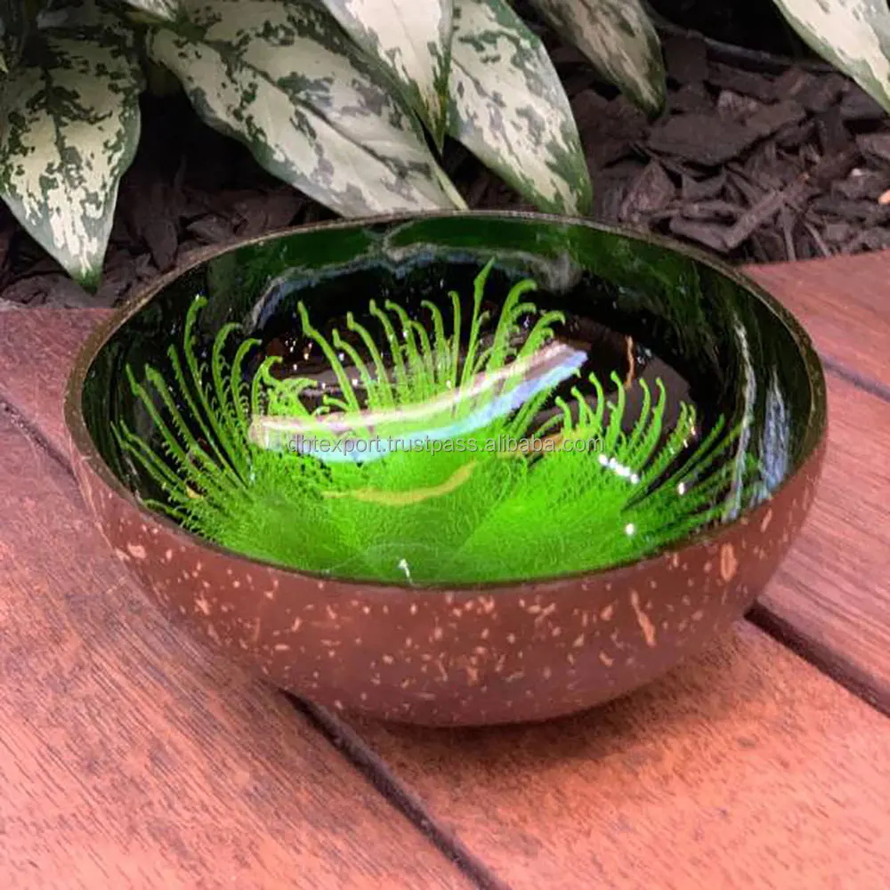 Vietnam Export Lacquered Coconut Shell Bowls Multiple Colors Round Shape High Quality Cheap Price