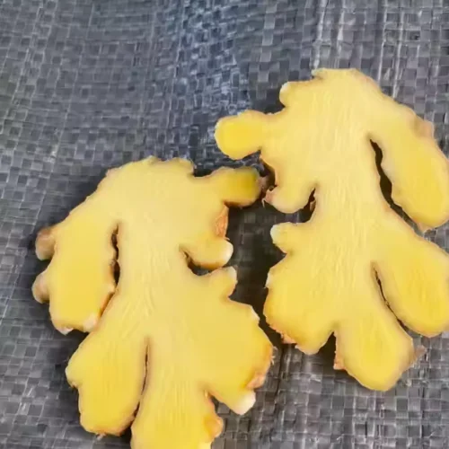 Свежий имбирь из Вьетнама экспорт Имбиря высокое качество оптовая продажа