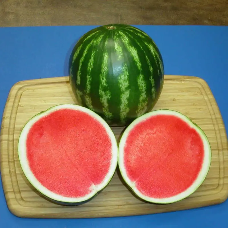 High purity for watermelon crimson sweet Good Germination Variety big Size Watermelon at Good price for export