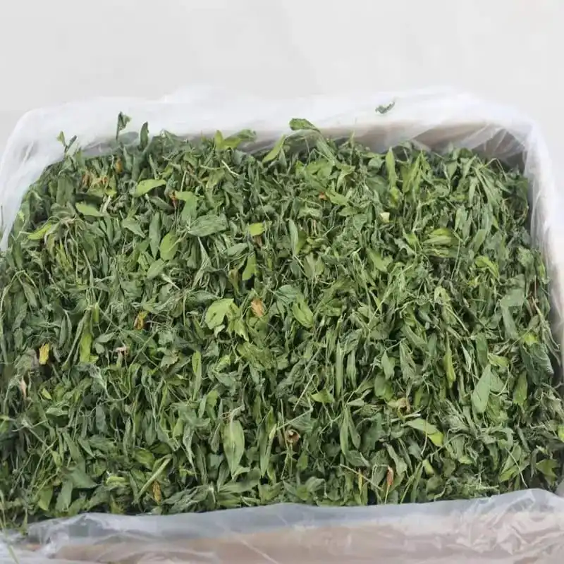 Alfalfa Hey with Customized Size Packing for Sale by USA Exporters Wholesale Prices