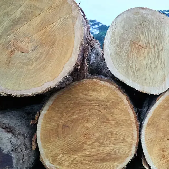 Дешевые деревянные бревна Wenge/ Bilinga /Teak