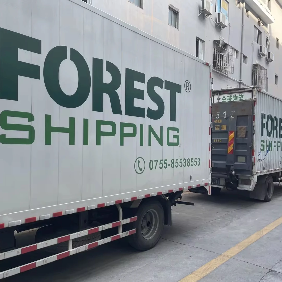 Logistics Service FBA Cargo Sea Freight China To Croatia Slovenia Estonia Greece Agent Amazon LCL+Trucking