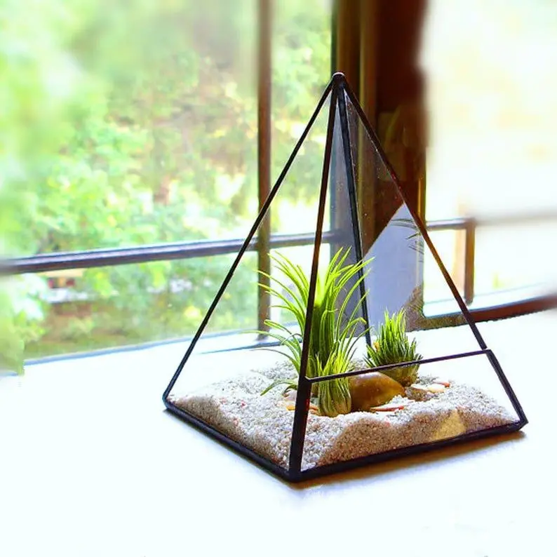 Brass Border Newly Stocked Glass Terrarium For Exclusive Price In Black Colour For Wedding Table Decor & Home Decoration
