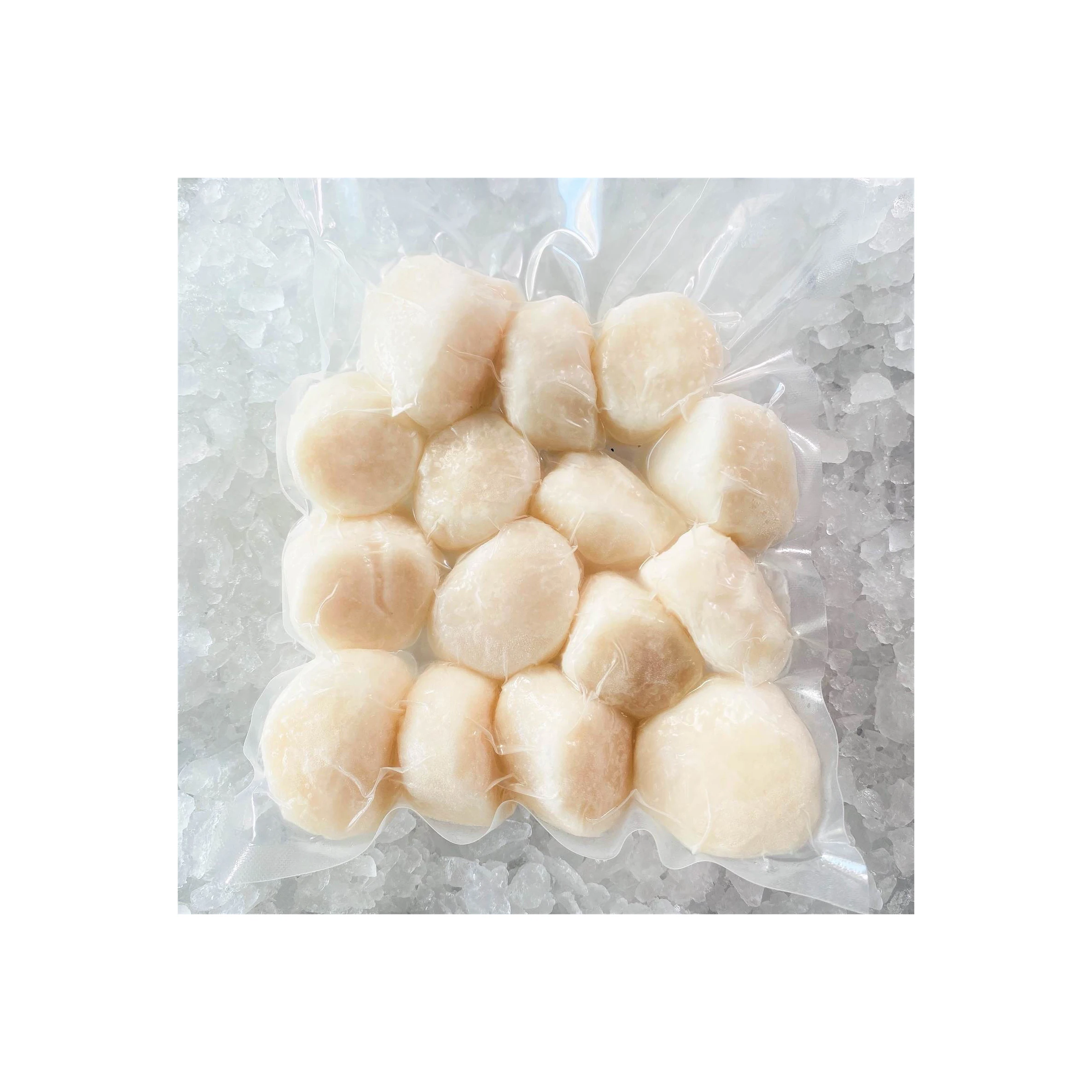 frozen sea scallop meat with scallop scallop shellfish