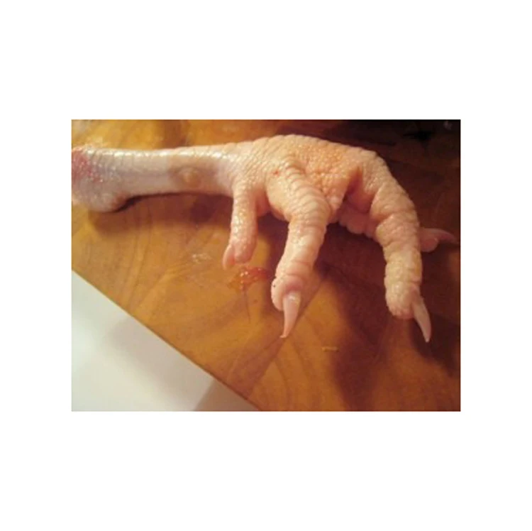 Best Grade Chicken Halal Frozen Chicken paws For Good Price Export Frozen Chicken Feet for ready market