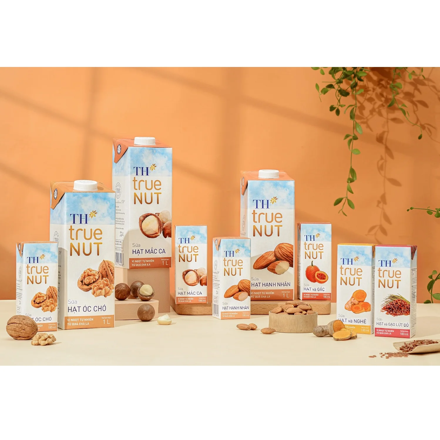 Nuts and Gac Milk TH True NUT 180 ml Box Packaging Original Flavor Nutritious Blended Dairy Products Nut Milk