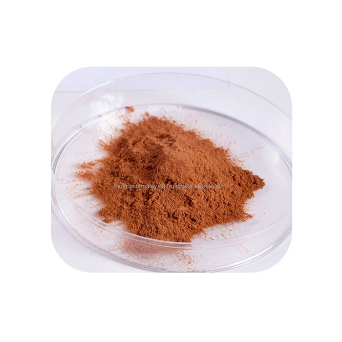 Food Grade Water Pepper Leaf Extract Kesum Ingredients Powder Culinary Use Herbal Extract or Supplement