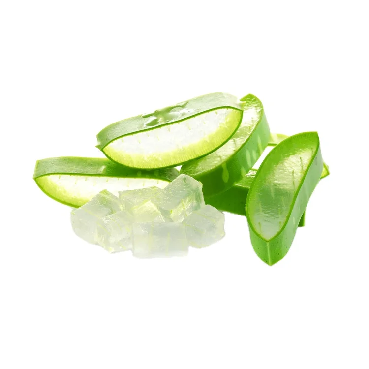 Thailand Origin Supplier Selling 100% Pure Fresh and Natural Top Quality Aloe Vera Dice/ Aloe Vera Pulp for Bulk Buyers