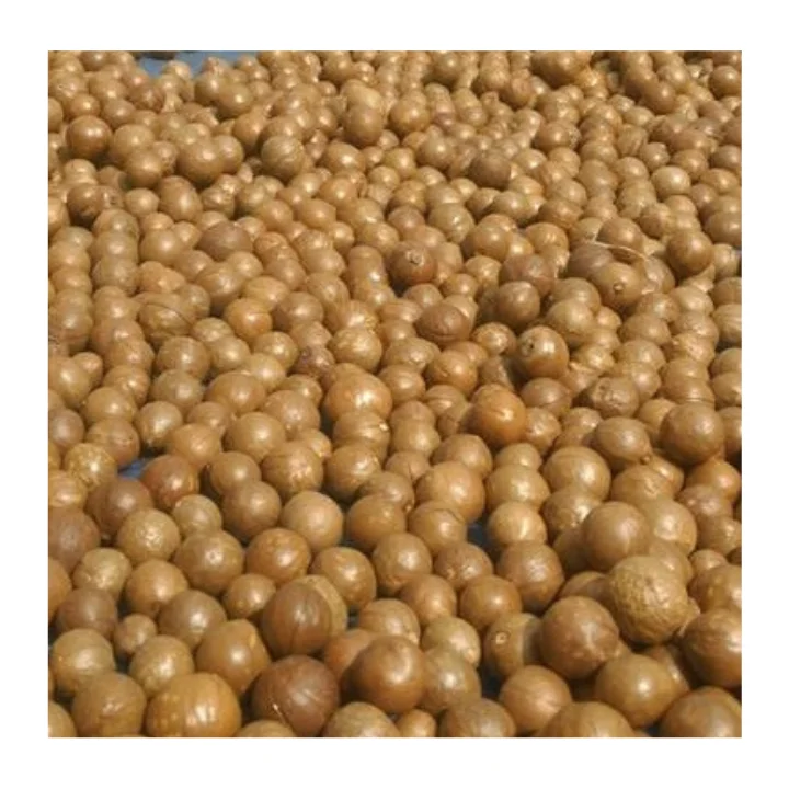 High-Quality Macadamia Nuts with Shell From Vietnam: Organic and Bulk-Friendly