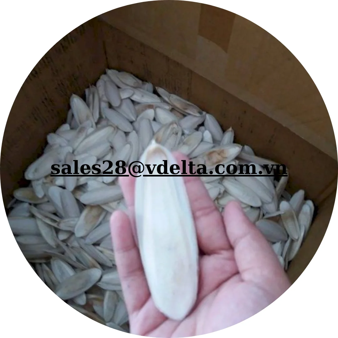 HOT PRODUCT DRIED CUTTLEFISH BONE EXPORTED/CUTTLEFISH BONE MAKE TOYS AND FOOD FOR PARROTS FROM VIETNAM /Ms. Shyn +84382089109