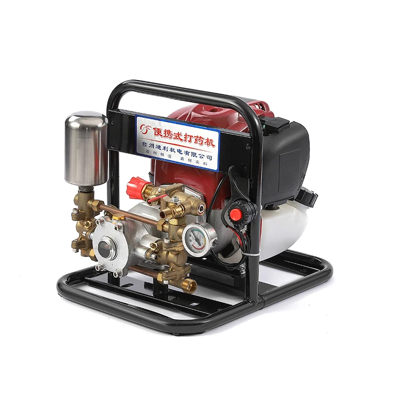 Portable Gasoline Spraying Machine Four-Stroke Agricultural High Pressure New Fruit Tree Sprayer