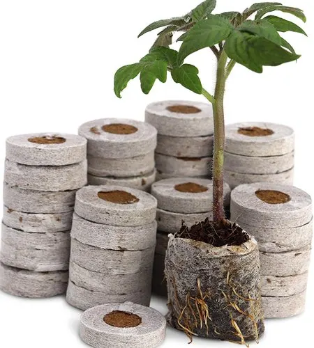 BRICKS FOR HEALTH PLANTS AND FLOWERS BEST WAY FOR HYDROPONICS AGRICULTURE