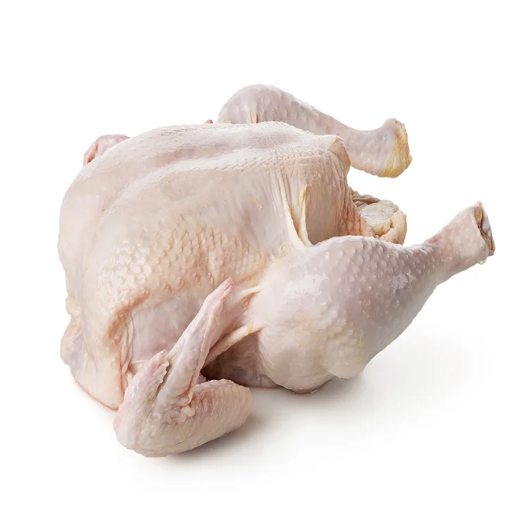EXPORT GRADE HALAL FROZEN WHOLE CHICKEN CHICKEN FEET CHICKEN PAW