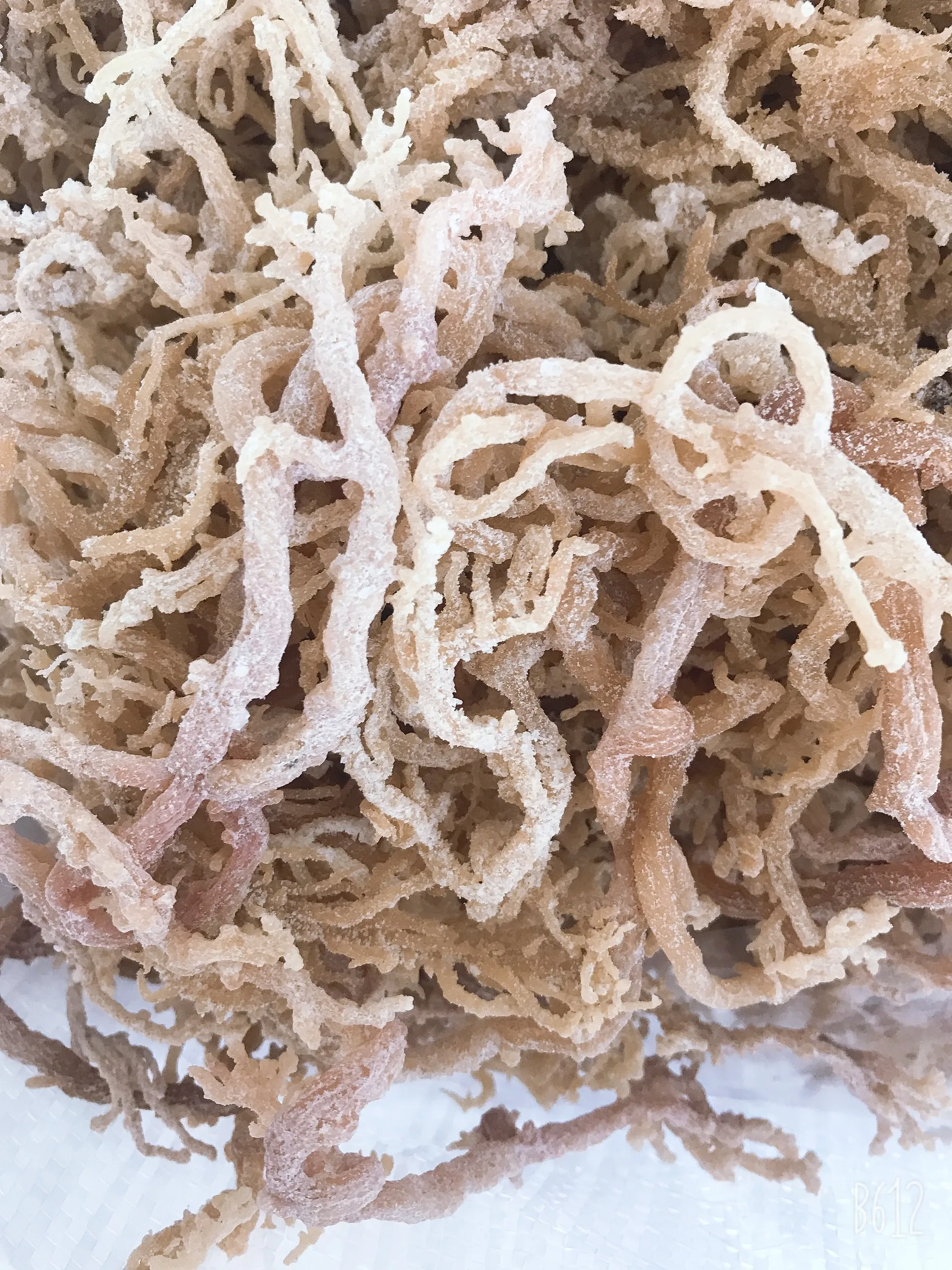 Organic Dried Irish Moss / Cottonii Seaweed / Eucheuma Cottonii Seaweed Produce Carrageenan From The Ocean Seafood