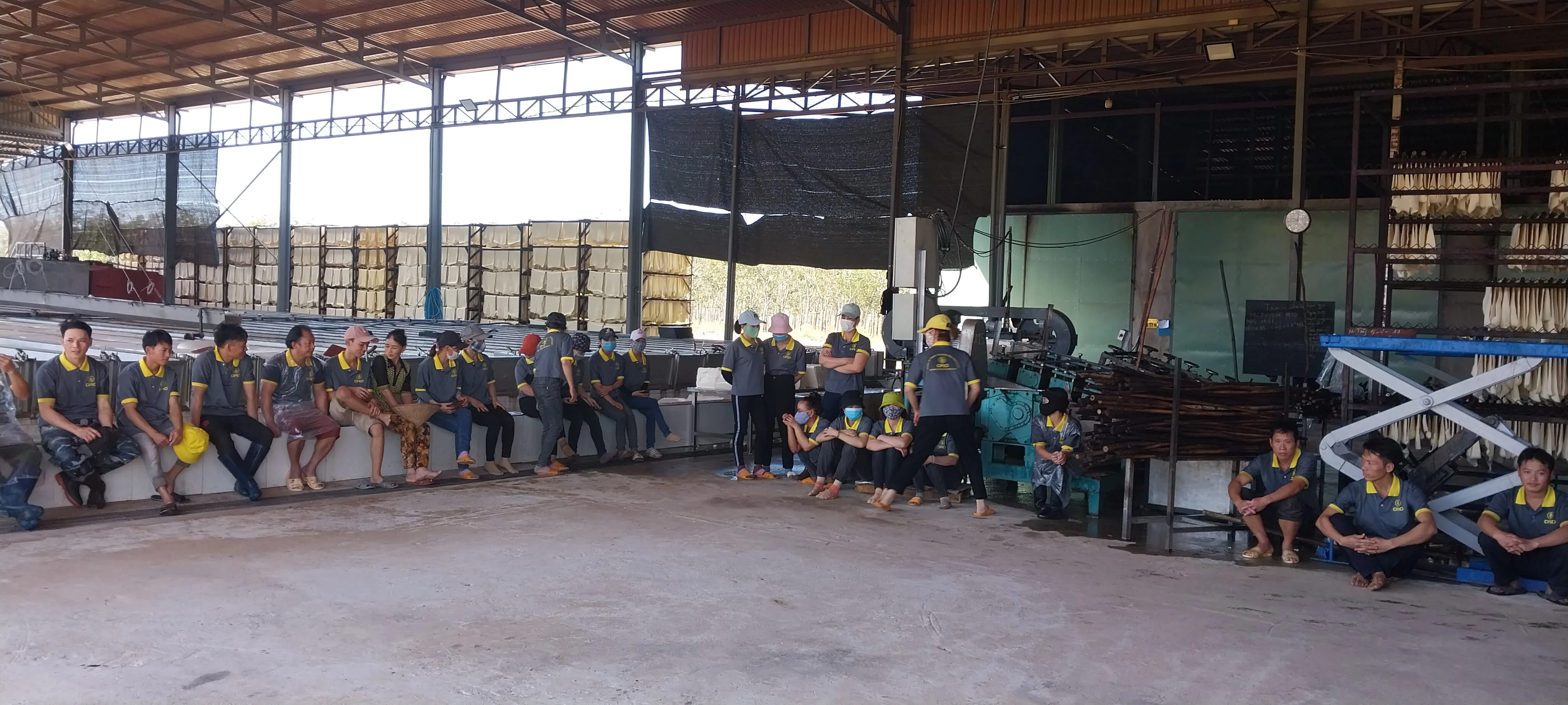 Вьетнамское приложение SSR Для шин по лучшей цене, высококачественное сырье из натурального каучука с завода во Вьетнаме, желтый