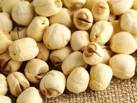 WHITE LOTUS SEED