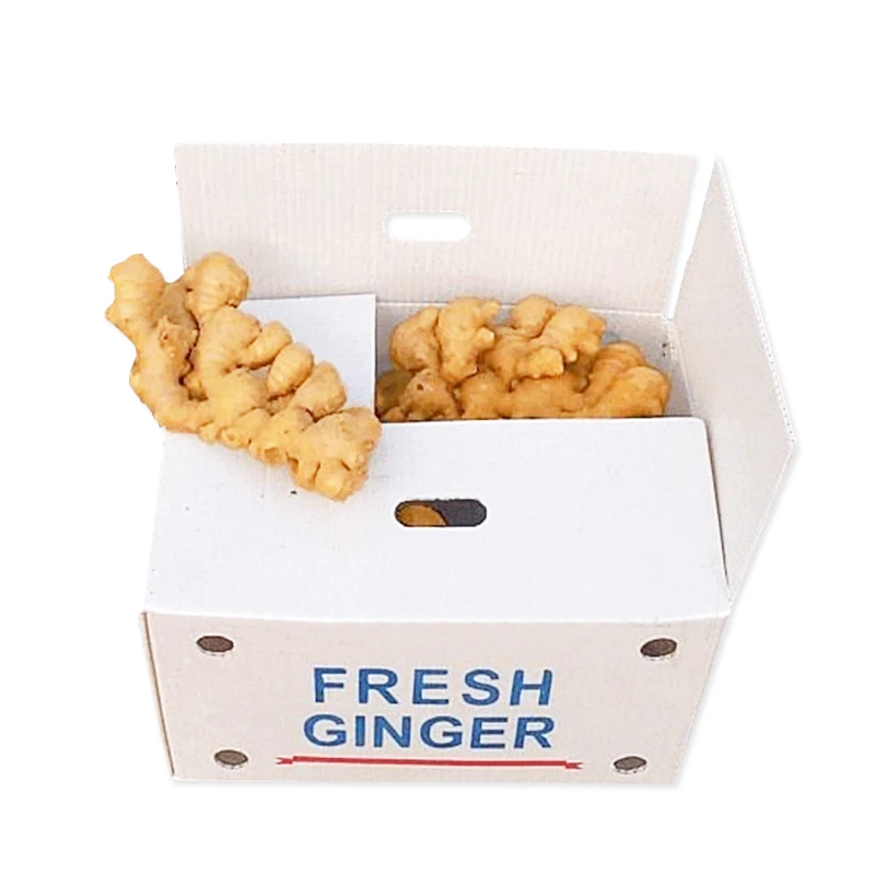 Wholesale Fresh Ginger for Ginger Fresh Best Quality In Carton Professional Export Fresh Ginger.