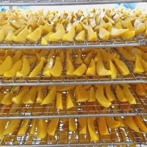 High Quality Wholesale 100% Organic Dry Fruits Dried Mango No Sugar Free Added Dried Fruit Made in VietNam