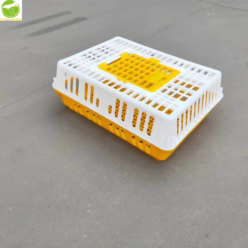 High quality poultry or chicken plastic transport cage